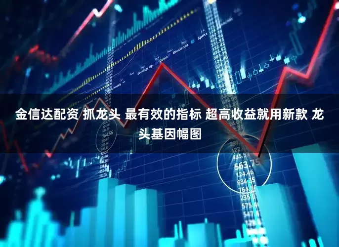 金信达配资 抓龙头 最有效的指标 超高收益就用新款 龙头基因幅图